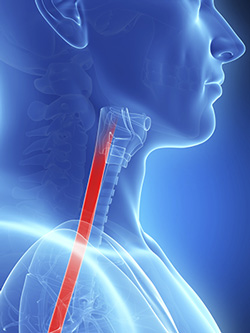 Esophageal Cancer Specialist Allendale, NJ