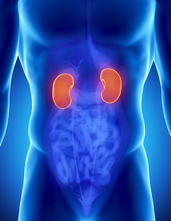Kidney Cancer Treatment in Irving, TX